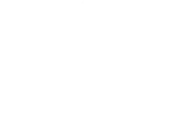 Transparent Logo White